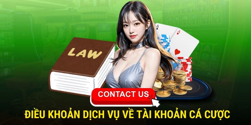 Vai trò của các điều khoản dịch vụ 82VN